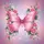 Iridescent Butterfly Golden Filigree Pink Roses White Flowers - Nature Lover Home Decor Gift Spare Tire Cover - 6