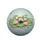 Pink Water Lilies Dragonfly Lotus - Nature Lover Home Decor Gift Spare Tire Cover - 4