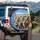 Koalas Eucalyptus Australian Hills - Wildlife Lover Gift for Koala Lovers Spare Tire Cover - 3