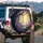 Ancient Tree Swing Mystical Forest Glowing Flora - Nature Lover Gift Spare Tire Cover - 3