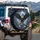 Bald Eagle Lightning Storm - Wildlife Lover Gift Spare Tire Cover - 3