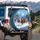 Galloping Wild Horses Snowy Forest Mountain - Winter Wilderness Wildlife Lover Gift Spare Tire Cover - 3