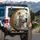 American Pitbull Terrier Dog Heterochromia Eyes - Dog Lover Gift Spare Tire Cover - 3