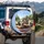 Pit Bulls Classic Car Countryside Scene - Dog Lover Travel Gift Spare Tire Cover - 3