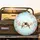 Songbirds Cherry Blossom Branch - Wildlife Lover Gift Spare Tire Cover - 2