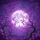 Luminous Full Moon Tree Blossoms - Night Sky Decor Gift Spare Tire Cover - 6