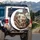 Excited Poodle-Mix Dogs Driving Car - Road Trip Lover Gift Spare Tire Cover - 3
