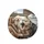 Excited Poodle-Mix Dogs Driving Car - Road Trip Lover Gift Spare Tire Cover - 4