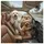 Excited Poodle-Mix Dogs Driving Car - Road Trip Lover Gift Spare Tire Cover - 6
