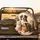 Four Domestic Pets Cat Dog Golden Retriever Bernese - Animal Lover Home Decor Gift Spare Tire Cover - 2