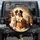 Four Domestic Pets Cat Dog Golden Retriever Bernese - Animal Lover Home Decor Gift Spare Tire Cover - 1