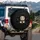 Curious Cream Cat Emerald Eye Emerging From Rip - Cat Lover Gift Spare Tire Cover - 3