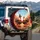 Turkey Pumpkin Autumn Leaves Thanksgiving Holiday Gift for Fall Decor Spare Tire Cover - 3