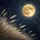 Golden Full Moon Wispy Tall Grass Night Sky Stars - Nature Lover Outdoor Vehicle Gift Spare Tire Cover - 6