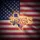 Texas State Outline American Flag - Independence Day Gift for Veterans Spare Tire Cover - 6