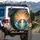 Dolphins Touching Noses Tropical Sunset Palm Trees - Ocean Lover Gift Spare Tire Cover - 3