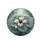 duiyfppz/products/6a1f10929e9d70f6d00e2a10/gallery/ylBUvqz_cb