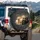 Golden Black Labrador Retriever Puppies Charcoal Scene - Pet Lover Gift Spare Tire Cover - 3