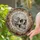 Luminous Skull with Prismatic Shards and Organic Foliage - Home Decor Gift Stained Glass Suncatcher - 2