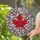 Vibrant Red Maple Leaf Black Lead Lines Glass Splatter Mosaic - Home Decor Housewarming Gift Stained Glass Suncatcher - 2