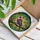 White Red Cardinal Bird Prominent Crest Autumn Leaves Branch - Bird Lover Home Decor Gift Stained Glass Suncatcher - 3