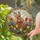 Bunny Tulip Field - Window Decor Gift for Gardeners and Wildlife Lovers Stained Glass Suncatcher - 2