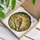 European Robin Autumn Leaves Floral - Home Decor Gift for Bird Lover Stained Glass Suncatcher - 3
