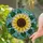 Stained Glass Sunflower Leaf Vine Mosaic Floral - Home Decor Gift for Garden Lover Stained Glass Suncatcher - 2
