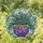 Mosaic Planter Green Foliage Purple Blue Flowers Swirls - Garden Lover Home Decor Gift Stained Glass Suncatcher - 1