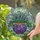 Mosaic Planter Green Foliage Purple Blue Flowers Swirls - Garden Lover Home Decor Gift Stained Glass Suncatcher - 2