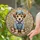 Terrier Puppy Dog Denim Hat Jacket - Home Decor Gift for Dog Lover Stained Glass Suncatcher - 2