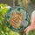 Ginger Striped Cat Green Eyes Emerald Vines Pale Grey Organic Swirls Home Decor Gift for Cat Lover Stained Glass Suncatcher - 2