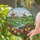 Dutch Windmills Tulip Garden River Scene - Home Decor Gift for Garden Lover Stained Glass Suncatcher - 2