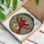 duiyfppz/products/6a22322571e4eb584f4f5e66/gallery/fJpP62o0a3