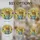 duiyfppz/products/6a2232475251422b92e79e43/gallery/TnG-3XjlFC