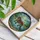 duiyfppz/products/6a2233a27dc5cf6ec416692f/gallery/-mBtlOBTUZ