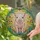 duiyfppz/products/6a2233d24e4edda087ca0df8/gallery/H8sqwRmdnx