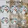 duiyfppz/products/6a22343871e4ebcf554f639d/gallery/IRqiwdaeNu