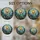 duiyfppz/products/6a2237574e4edd006fca1bde/gallery/eMqIDInHyH
