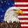 duiyfppz/products/6a2237784e4edd44ecca1c7e/gallery/0pq_5eL3Ed