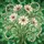 duiyfppz/products/6a22378bd49e4c709b69253d/gallery/uzTTS8OB5L