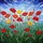duiyfppz/products/6a2238d031e6d6822025e541/gallery/W24Ew4b94M