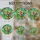 duiyfppz/products/6a2238e171e4ebec3a4f6d87/gallery/L_wTroC9uB