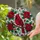 duiyfppz/products/6a22394b31e6d608e025e62a/gallery/3QzqXFVkVl