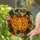 duiyfppz/products/6a2239957dc5cf5239167b24/gallery/NRpVa6-fw2