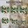 duiyfppz/products/6a223a524e4eddf5daca23ea/gallery/jRqzGOE3ve