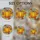 duiyfppz/products/6a223a7a31e6d604da25e87b/gallery/yNGTjpp1LV