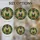 duiyfppz/products/6a223bad4e4edd6175ca26d3/gallery/mQor_8mX_5