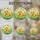 duiyfppz/products/6a223c47d49e4c4f3e692ffa/gallery/Yq76ZqfEcy