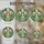 duiyfppz/products/6a223d2931e6d6e2b025ee77/gallery/KZHm2vENYR